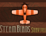 Steambirds: Survival