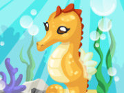 Seahorse Care