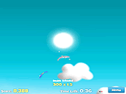 Dolphin Olypics 2